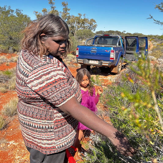 Bush Medicine Workshop
