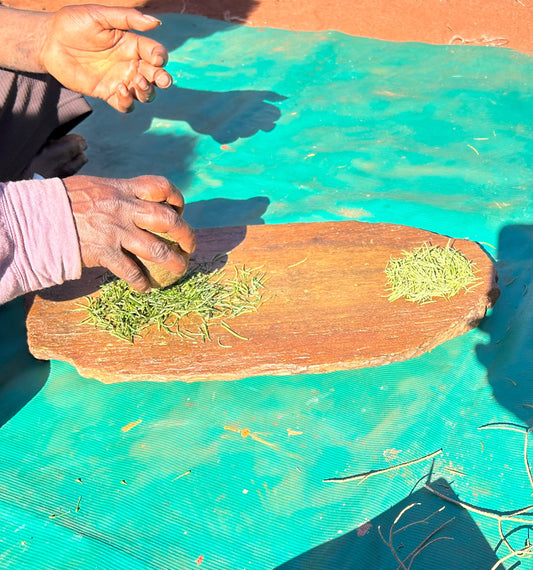 Bush Medicine Workshop